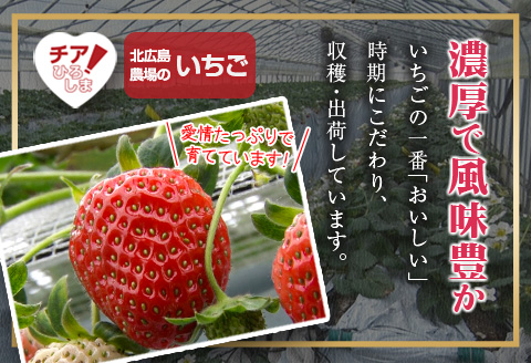 完熟いちご おいＣベリー  18粒［9粒×2ﾊﾟｯｸ］ 農場直送 北広島農場のおいＣベリー 西日本高速道路エンジニアリング中国北広島農場