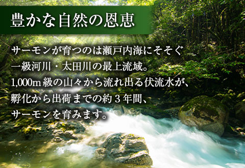 芸北サーモン 計500g 骨取りフィレ＆冷燻サーモンセット  山育ち サーモン フィレ スモークサーモン 刺身 サラダにおすすめ