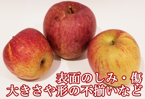 ≪10月中旬以降発送≫ りんご 訳あり ご家庭用 約5kg 岡ちゃん農園の芸北りんご 農家直送 夢つがる 秋映 とき すわっこ シナノスイート 陽光 ぐんま名月 シナノゴールド ふじ 5kg【訳あり】