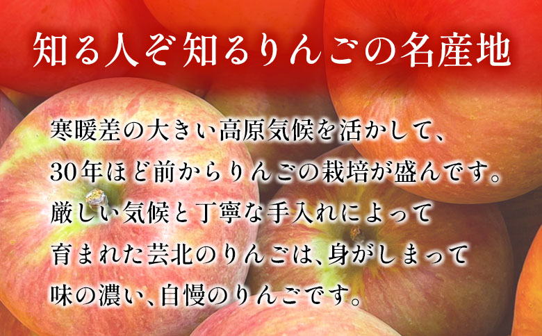 りんご 国産 3kg 農家直送 おかざき農園 芸北りんご 林檎 秋映 陽光 ぐんま名月 あいかの香り ふじ 3kg