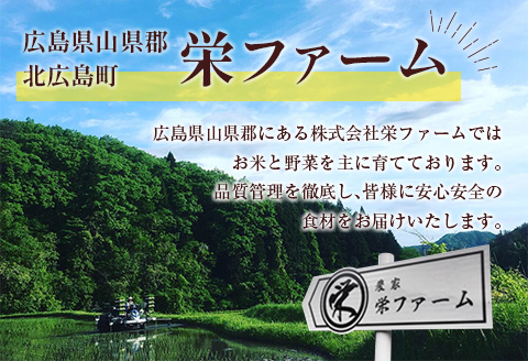 『定期便』全3回 コシヒカリ 精米 10kg 大朝の米こしひかり 栄ファーム 毎月届く定期便 米どころ北広島町のおいしいお米 【定期便】精米10kg × 3回