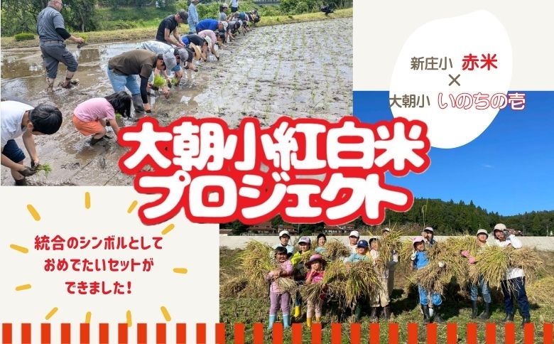 大朝小紅白米プロジェクト ハレの日ごはんセット