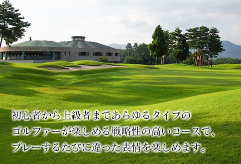 ゴルフ 補助券 千代田ゴルフ倶楽部 優待 プレー 補助利用券 3,000円分 3,000円分（3,000円券×1）