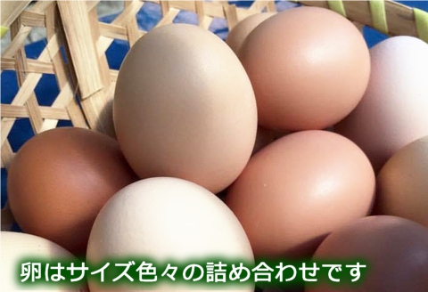 ふぁーむbuffoの平飼いたまご 30個
