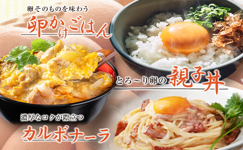 『定期便』全6回 たまご 華味卵 60個（50個＋割れ補償10個）毎月届く定期便 ちよだファームの華味卵 はなみらん 【定期便】60個 × 6回