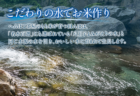 おもち よもぎ餅 20個 へんぽこ茶屋 つきたてよもぎ生餅 つきたて冷凍 冷凍生餅（よもぎ）10個×2パック