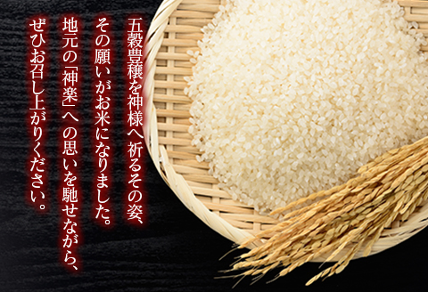 白米 精米 コシヒカリ 5kg 豊穣神楽米 精米5kg