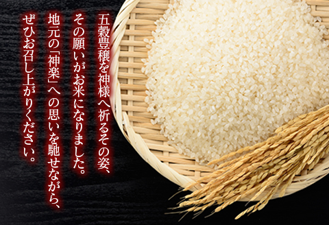 『定期便』豊穣神楽米（コシヒカリ）精米5kg 全12回 【定期便】精米5kg × 12回