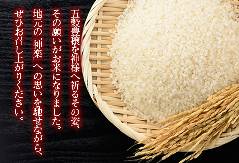 『定期便』豊穣神楽米（コシヒカリ）精米5kg 全3回 【定期便】精米5kg × 3回