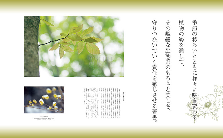 八幡高原のフォトエッセイ『花だより』（季節のポストカード付き）