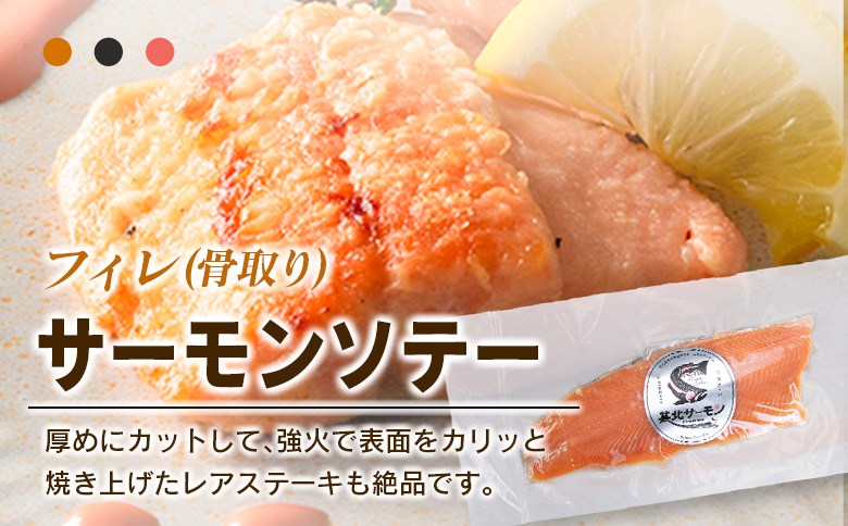 芸北サーモン 計500g 骨取りフィレ＆冷燻サーモンセット  山育ち サーモン フィレ スモークサーモン 刺身 サラダにおすすめ