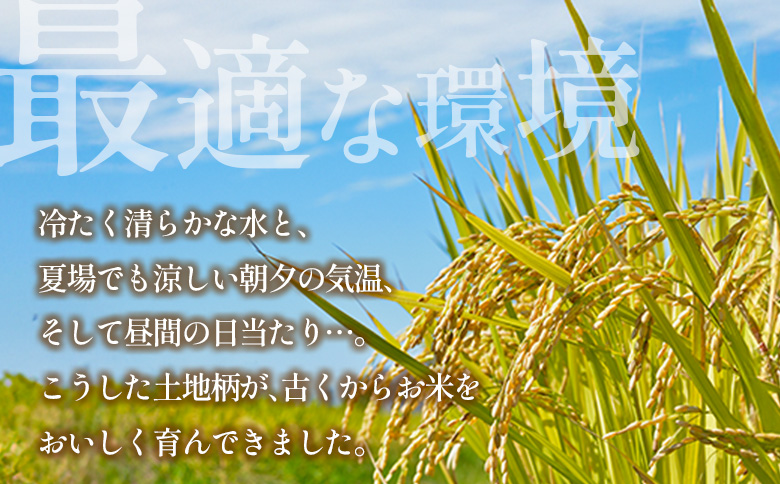 『定期便』全6回 コシヒカリ 精米 10kg 大朝の米こしひかり 栄ファーム 毎月届く定期便 米どころ北広島町のおいしいお米 【定期便】精米10kg × 6回