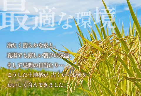 栄ファーム 大朝の米こしひかり 精米5kg 2025年産米 米どころ北広島町のおいしいお米 精米 5kg