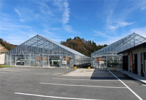 いちご狩りチケット 豊平どんぐり農園 ファミリー 大人2名小学生1名分 30分食べ放題 広島県北広島町 大人2名・小学生1名チケット