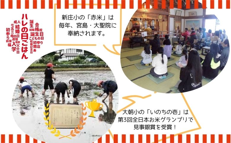 大朝小紅白米プロジェクト ハレの日ごはんセット