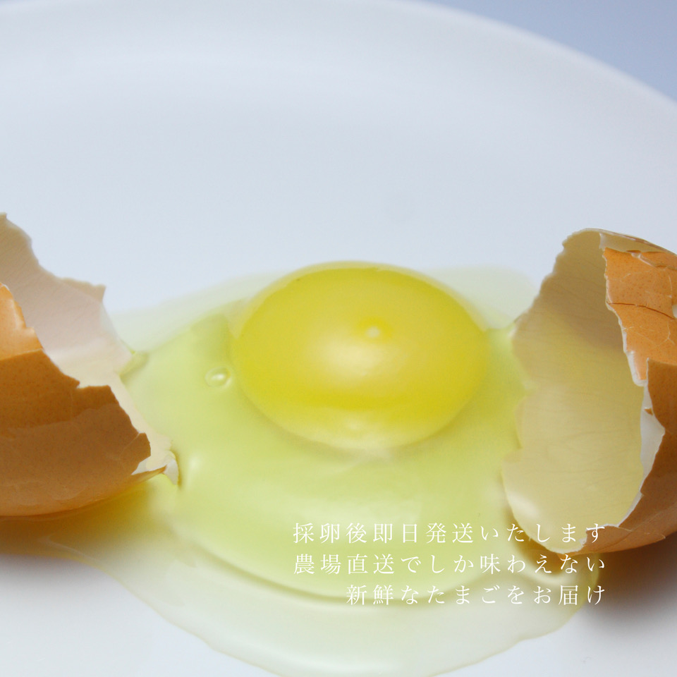 『定期便』四ツ葉農場の霜降りたまご「きみがスター」30個全12回＋地鶏1羽付き