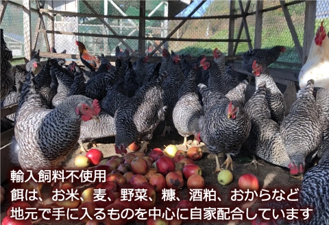 ふぁーむbuffoの平飼いたまご 30個