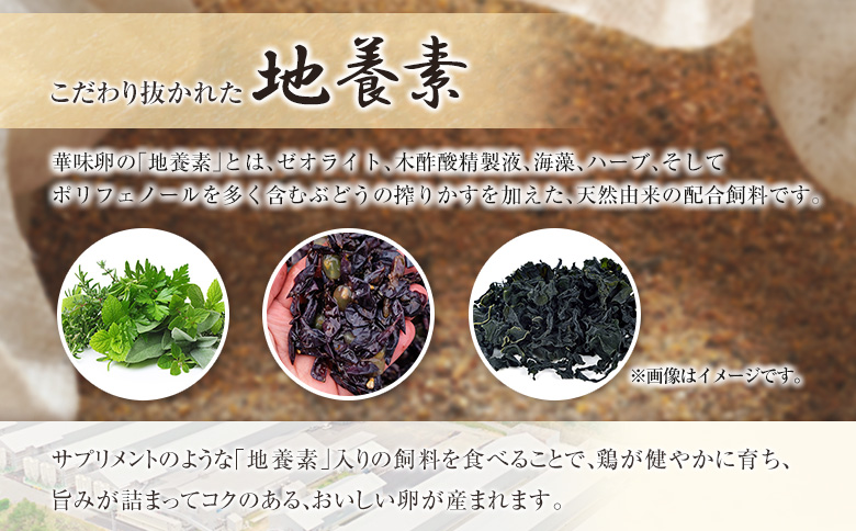 『定期便』全6回 たまご 華味卵 60個（50個＋割れ補償10個）毎月届く定期便 ちよだファームの華味卵 はなみらん 【定期便】60個 × 6回