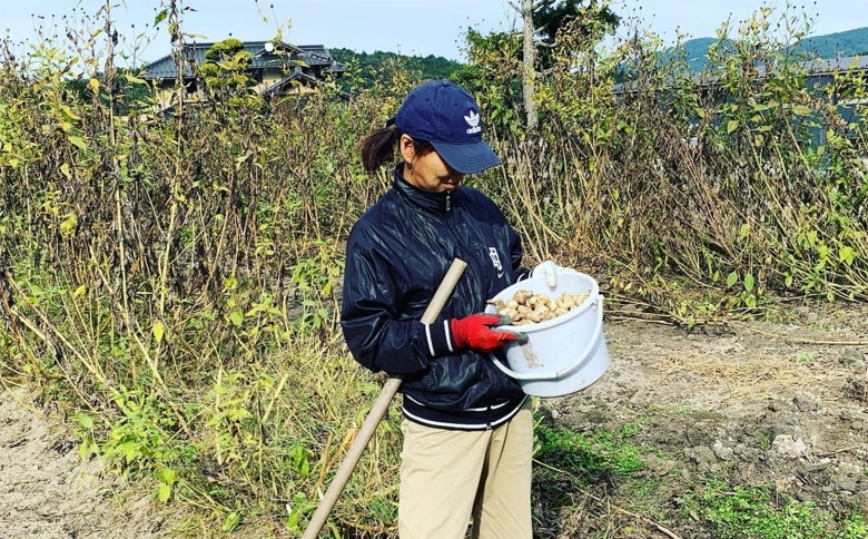 お茶 菊芋麦茶 ティーバッグ 12包