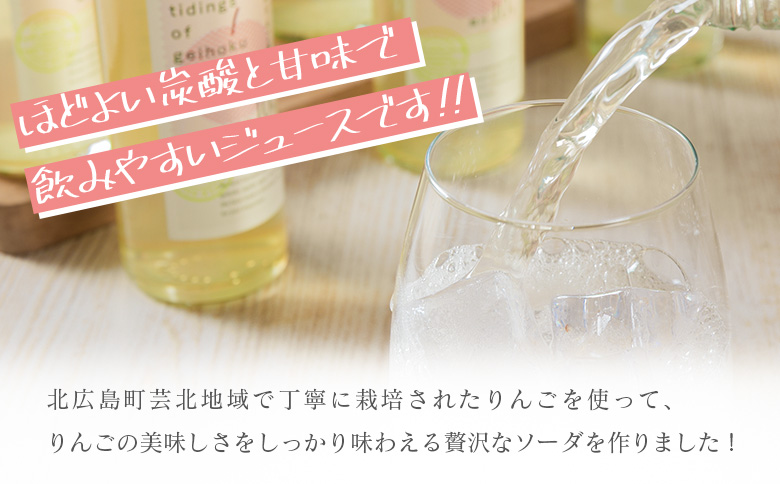 芸北りんご便り（りんごソーダ） 12本セット