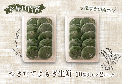 おもち よもぎ餅 20個 へんぽこ茶屋 つきたてよもぎ生餅 つきたて冷凍 冷凍生餅（よもぎ）10個×2パック
