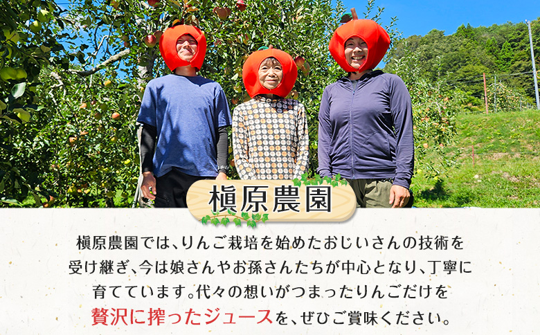 りんごジュース 芸北りんご 槇原農園 果汁100% ストレートジュース 1,000ml  3本