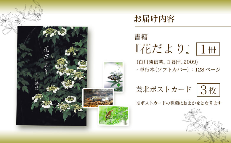 八幡高原のフォトエッセイ『花だより』（季節のポストカード付き）