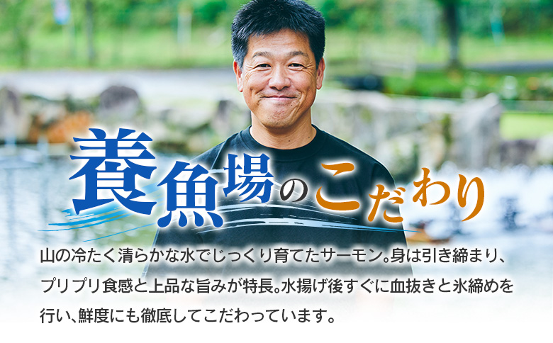 芸北サーモン 計500g 骨取りフィレ＆冷燻サーモンセット  山育ち サーモン フィレ スモークサーモン 刺身 サラダにおすすめ