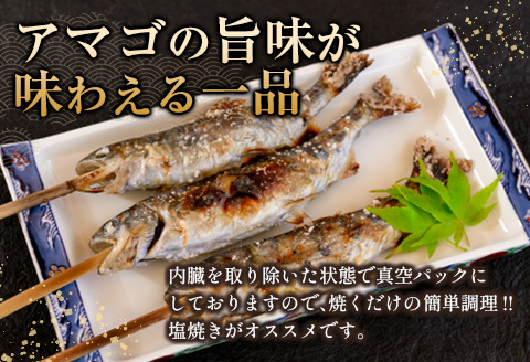 「渓流の女王」芸北アマゴ　15尾 5尾×3パック（計15尾）