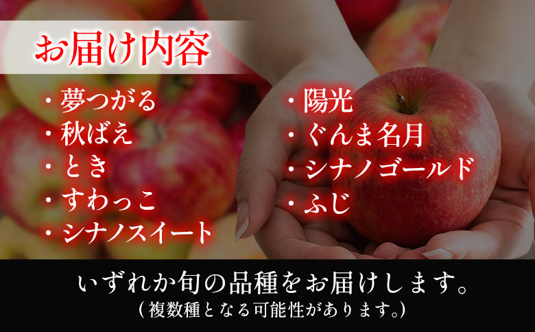 ≪10月中旬以降発送≫ りんご 訳あり ご家庭用 約5kg 岡ちゃん農園の芸北りんご 農家直送 夢つがる 秋映 とき すわっこ シナノスイート 陽光 ぐんま名月 シナノゴールド ふじ 5kg【訳あり】