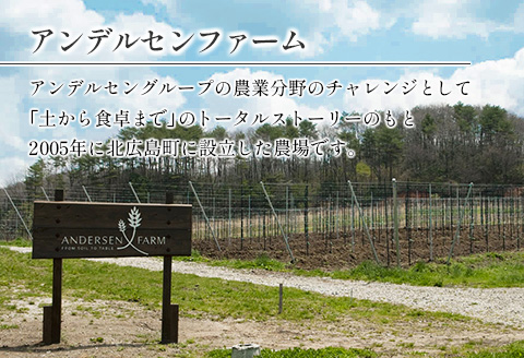 りんごジュース 3本セット アンデルセンファーム 林檎ジュース 紅玉 シナノゴールド グラニースミス