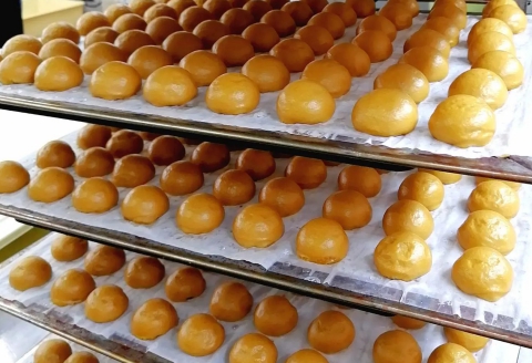 おまんじゅう 北広島町銘菓 4種詰め合わせ 林風月堂 大朝まんじゅう