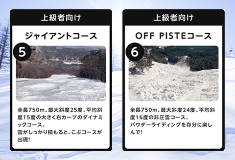 スキー場リフト券 芸北高原大佐スキー場 1日券 大人1名 広島 天然雪の幅広ゲレンデ