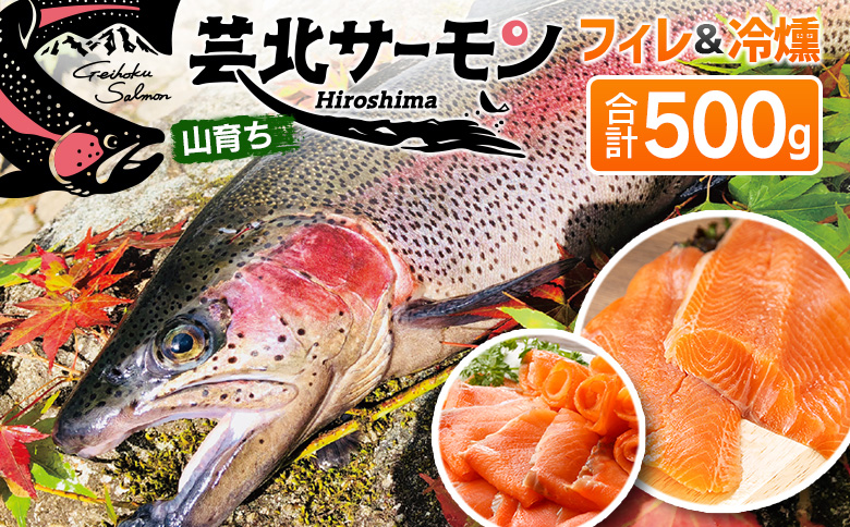 芸北サーモン 計500g 骨取りフィレ＆冷燻サーモンセット  山育ち サーモン フィレ スモークサーモン 刺身 サラダにおすすめ