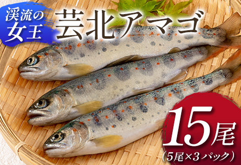 「渓流の女王」芸北アマゴ　15尾 5尾×3パック（計15尾）