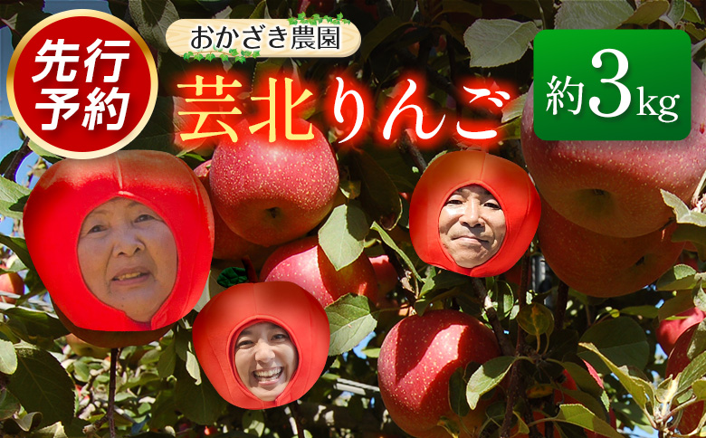 りんご 国産 3kg 農家直送 おかざき農園 芸北りんご 林檎 秋映 陽光 ぐんま名月 あいかの香り ふじ 3kg