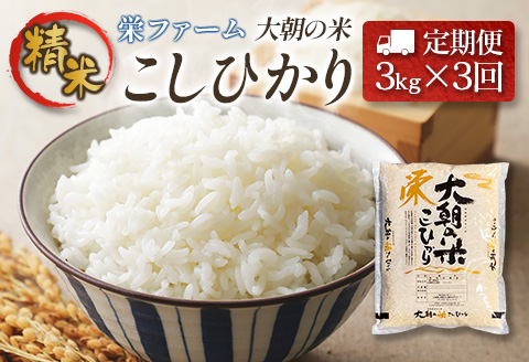 『定期便』全3回 コシヒカリ 精米 3kg 大朝の米こしひかり 栄ファーム 毎月届く定期便 米どころ北広島町のおいしいお米 【定期便】精米3kg × 3回