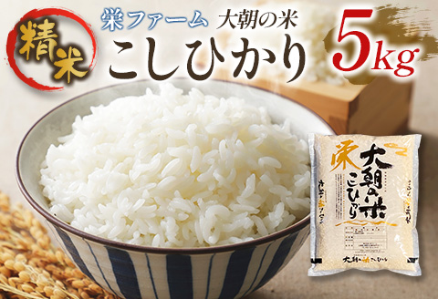 栄ファーム 大朝の米こしひかり 精米5kg 2025年産米 米どころ北広島町のおいしいお米 精米 5kg