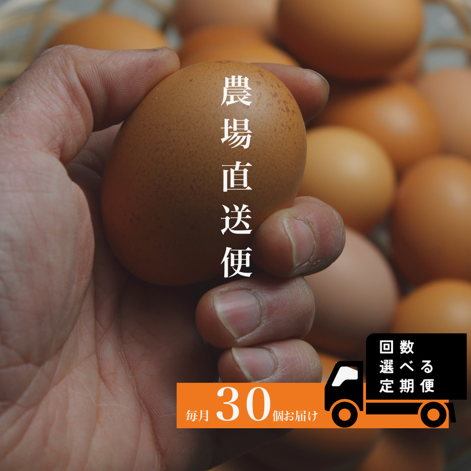 『定期便』四ツ葉農場の霜降りたまご「きみがスター」30個　全12回