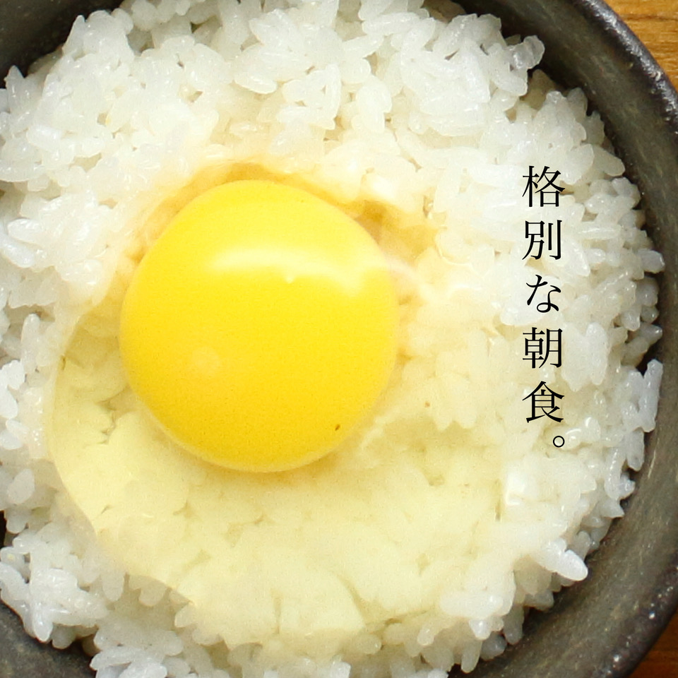 たまごかけごはん 平飼い卵 四ツ葉農場の絶品たまごかけごはんセット 霜降りたまご＋あすなろの北広島町産米こしひかり