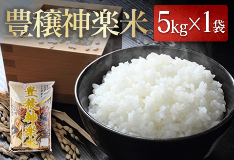 白米 精米 コシヒカリ 5kg 豊穣神楽米