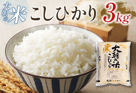 白米 精米 コシヒカリ 大朝の米こしひかり 栄ファーム 3kg