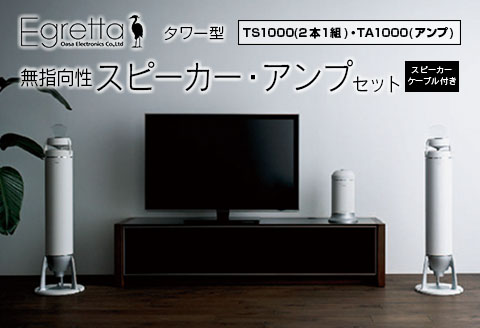 無指向性スピーカー Egretta エグレッタ タワー型 TS1000 アンプ TA1000 セット