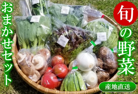 旬 野菜 おまかせ 詰め合わせ セット 10品目以上 産直市