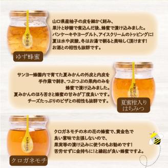 はちみつ 国産 蜂蜜漬け セット 570g ( 95g×6種 ) 山口県産 下関