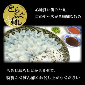とらふぐ 刺身 鍋 真フグ 一汐干し 炊き込み ご飯 セット 2人前  冷凍 河豚 魚介 海鮮 下関市 山口県
