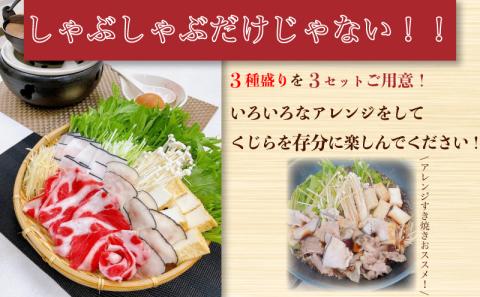 【下関】鯨 しゃぶしゃぶ 3種盛り セット【山賀】 くじら クジラ