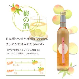 梅の酒 リキュール 500ml × 2本 日本酒 梅酒 フルーティー 下関 山口