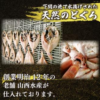 訳あり のどぐろ開き干し 9尾 冷凍 小分け 小サイズ 干物 ノドグロ あかむつ 高級魚 海鮮 惣菜 下関