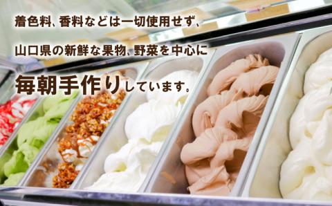 Mamena おすすめ8種が入った ジェラートおまかせ8個セット